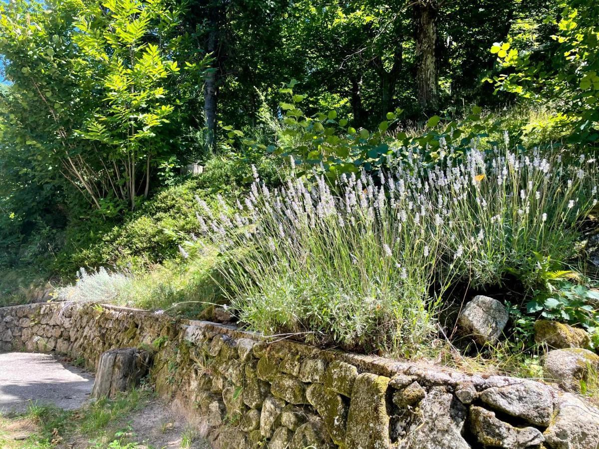 Gite Des Sausses Dans Une Nature Preservee Burzet Eksteriør bilde